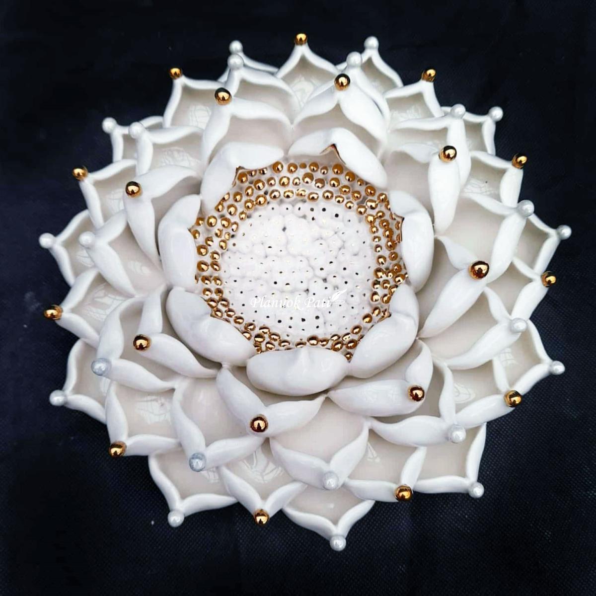 Šeimos židinys - Karališka lelija