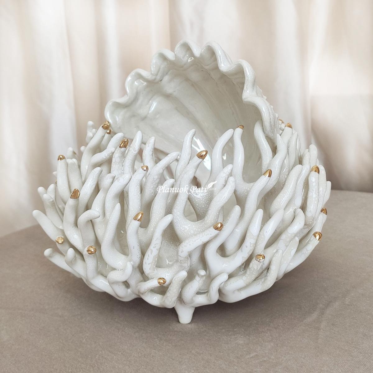 Šeimos židinys - Koralas kriauklėje