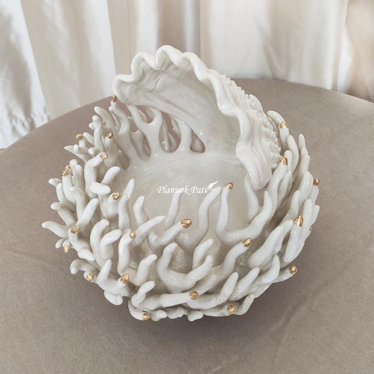 Šeimos židinys - Koralas kriauklėje