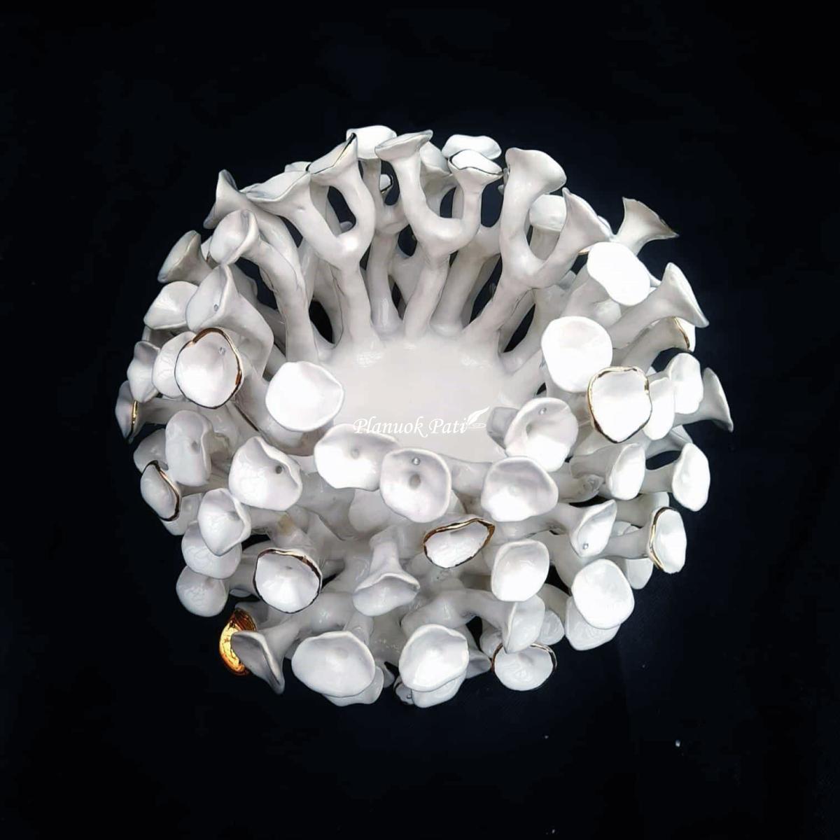 Šeimos židinys - Saulės koralas