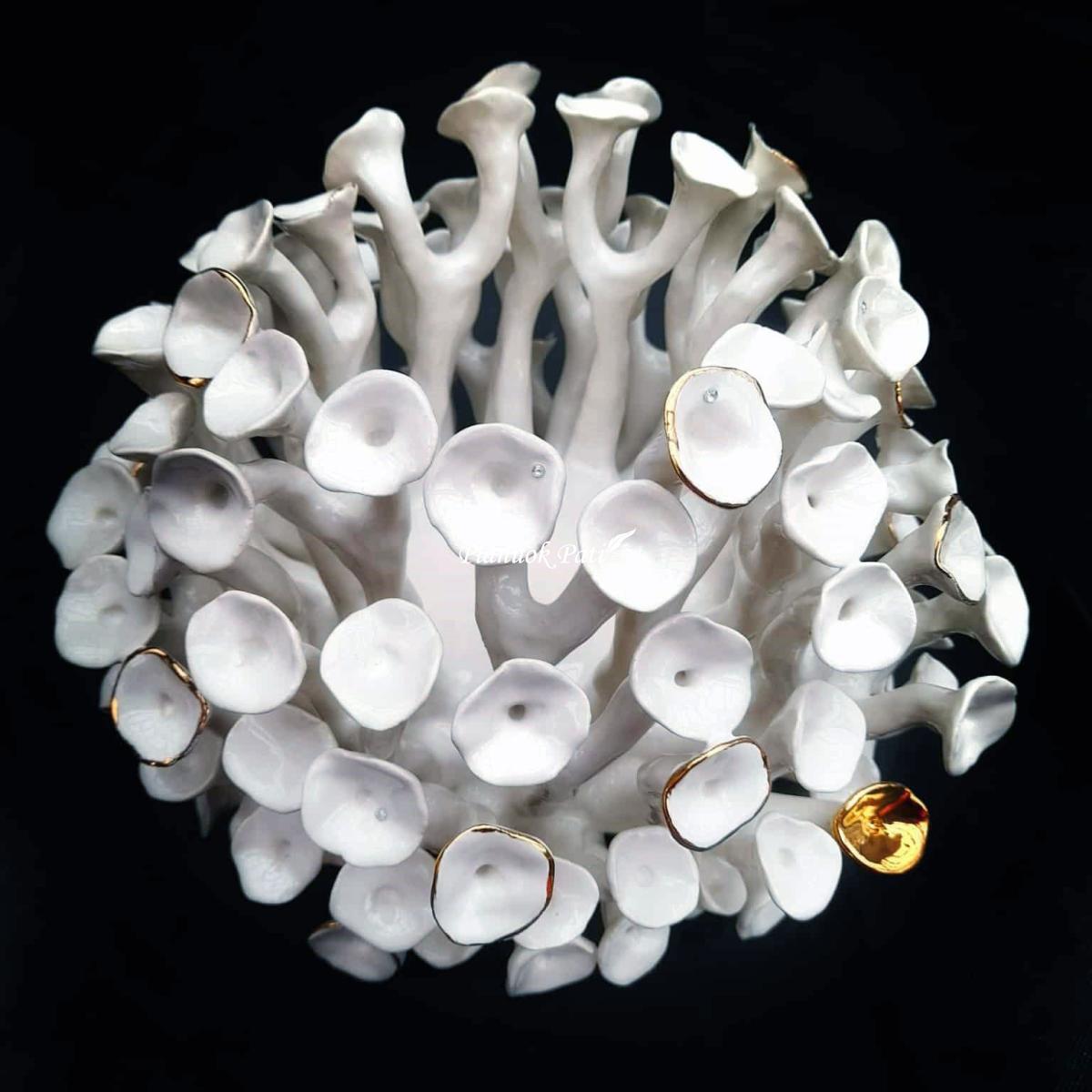 Šeimos židinys - Saulės koralas