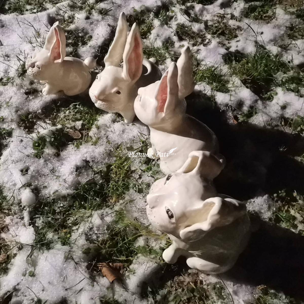 Indelis arba dekoracija - Kiškutis