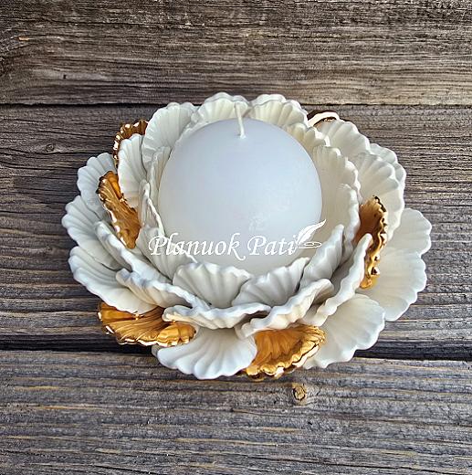 Šeimos židinys – Ypatinga gėlė