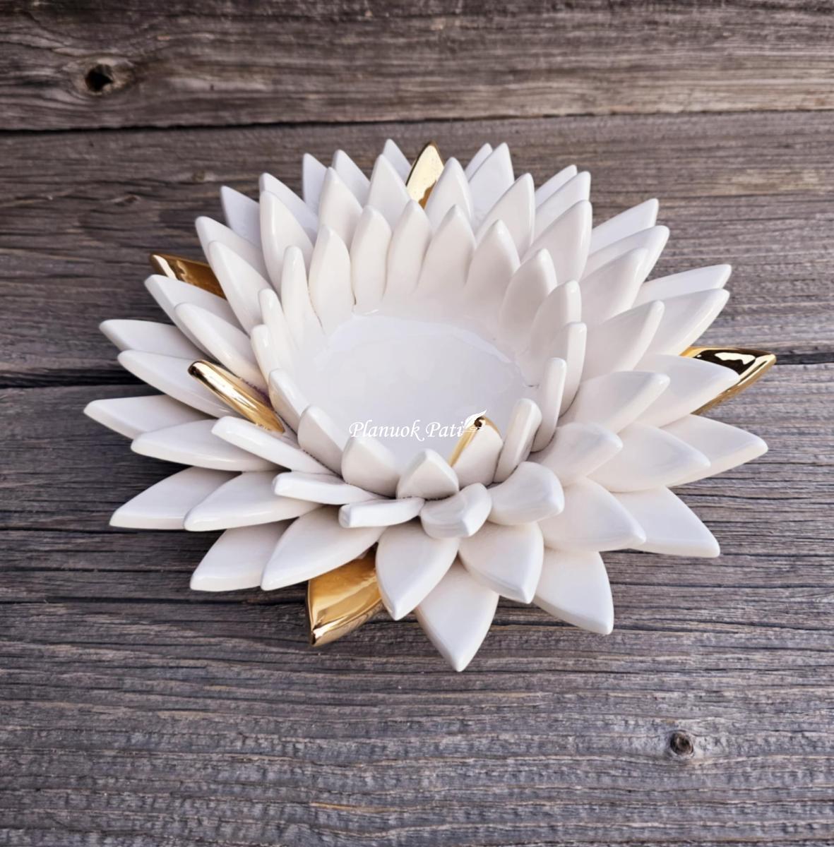 Šeimos židinys – Smailiažiedis lotosas