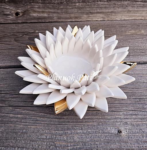 Šeimos židinys – Smailiažiedis lotosas