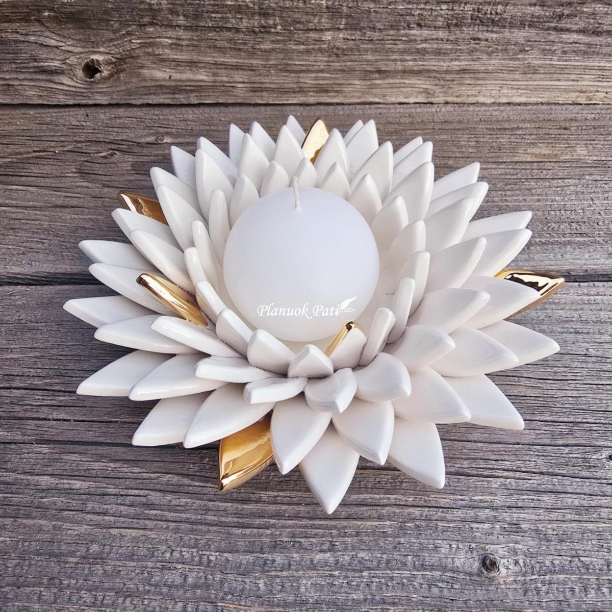 Šeimos židinys – Smailiažiedis lotosas