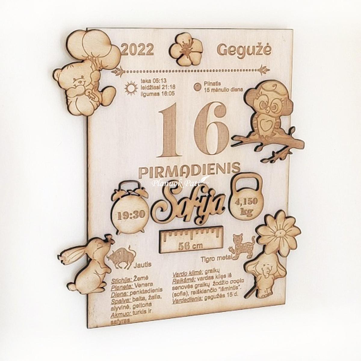 Metrikų rėmelis (be vietos nuotraukai)