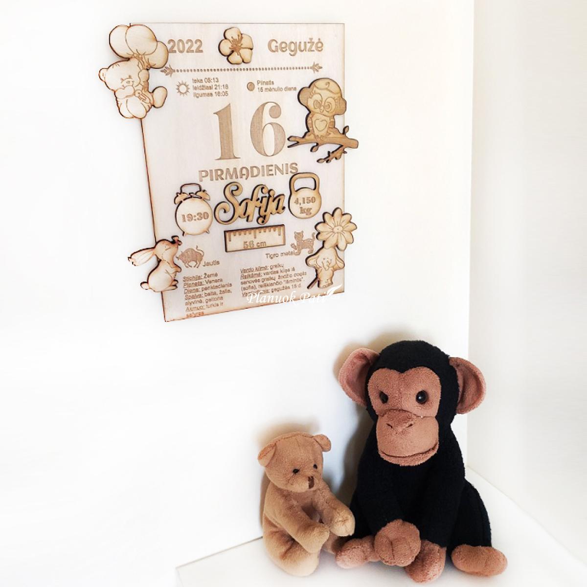 Metrikų rėmelis (be vietos nuotraukai)