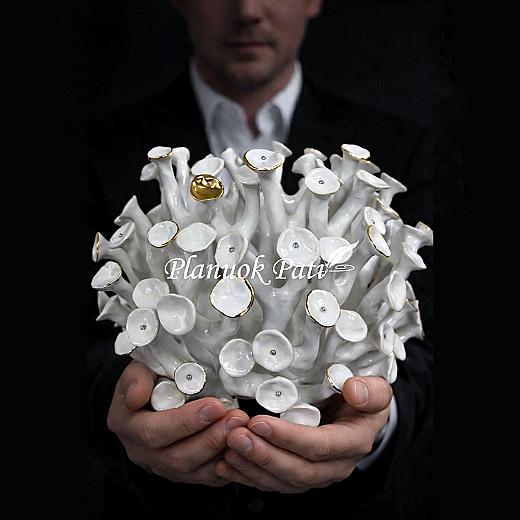 Šeimos židinys - Saulės koralas