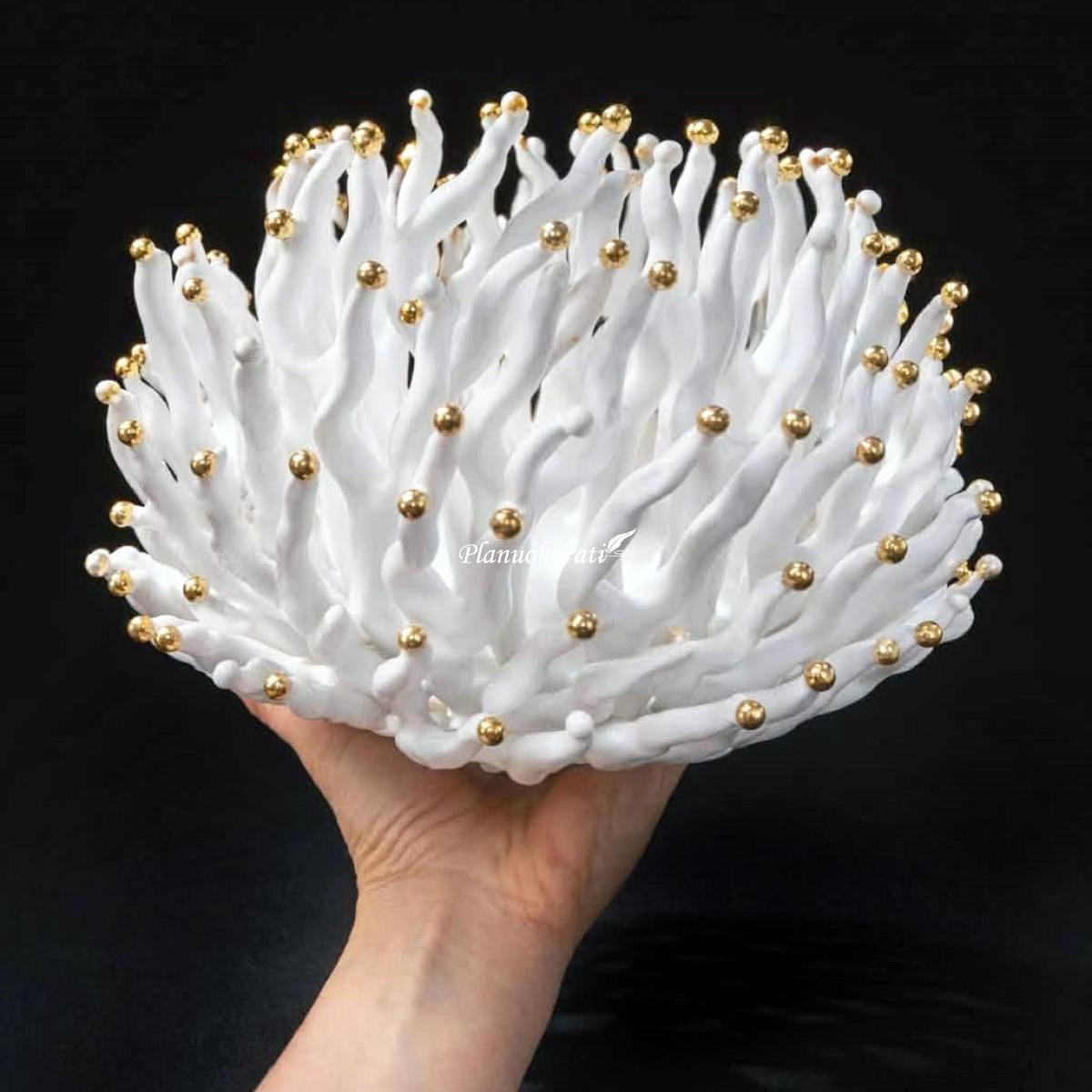 Šeimos židinys - Koralas