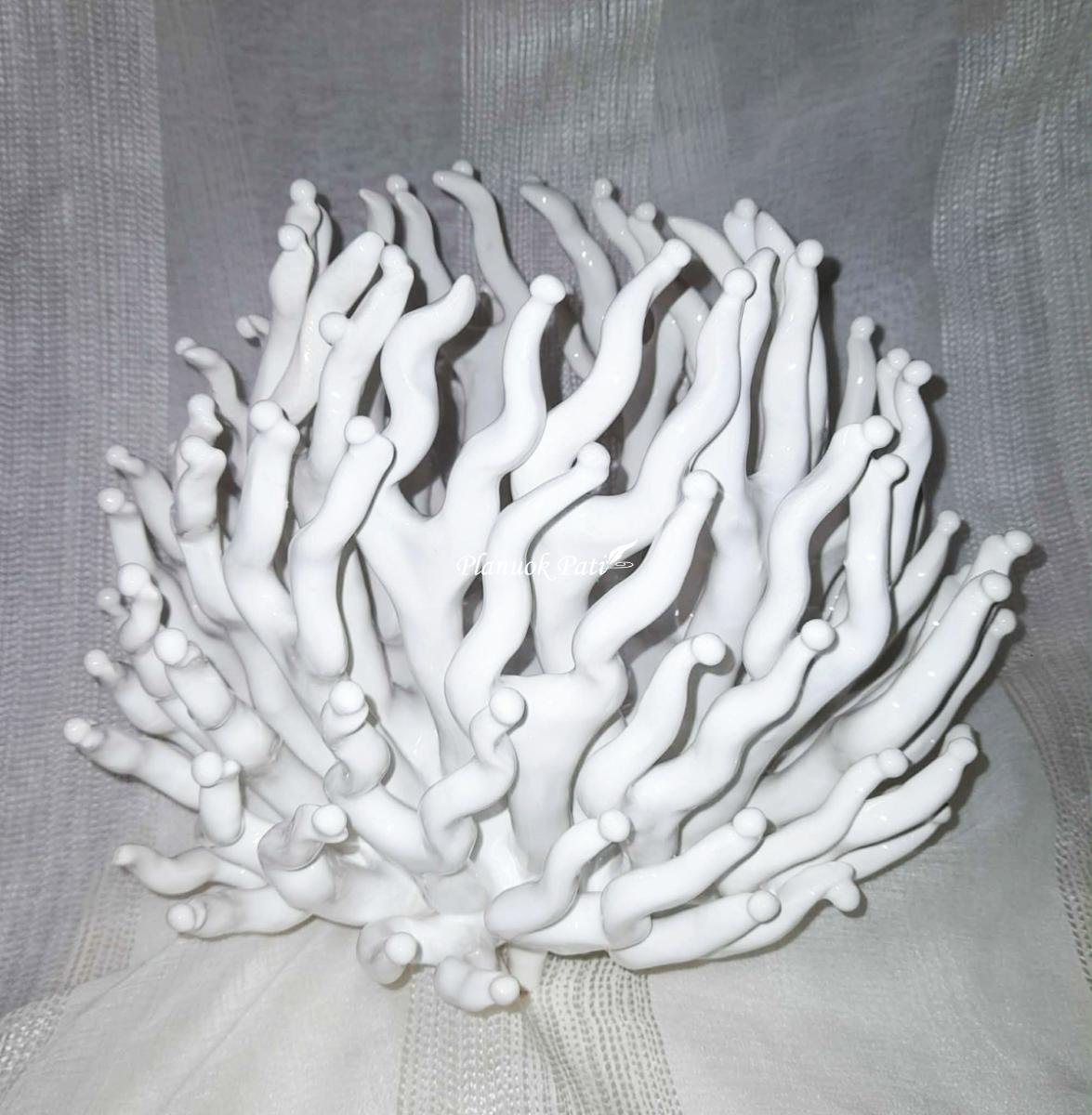 Šeimos židinys - Koralas